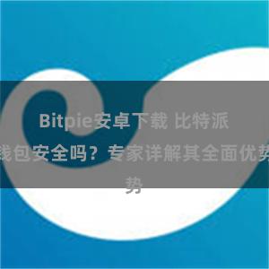 Bitpie安卓下载 比特派钱包安全吗？专家详解其全面优势