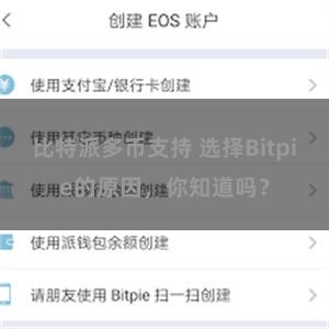 比特派多币支持 选择Bitpie的原因，你知道吗？