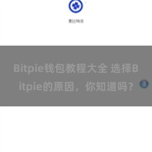 Bitpie钱包教程大全 选择Bitpie的原因，你知道吗？