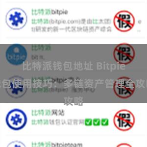 比特派钱包地址 Bitpie钱包使用技巧：多链资产管理全攻略