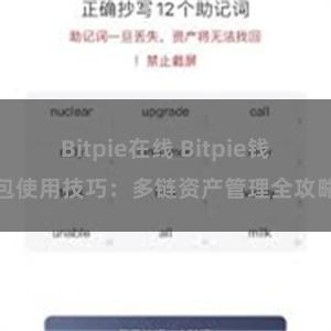 Bitpie在线 Bitpie钱包使用技巧：多链资产管理全攻略