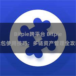 Bitpie跨平台 Bitpie钱包使用技巧：多链资产管理全攻略