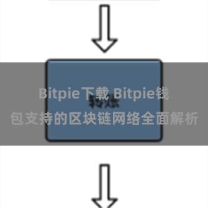 Bitpie下载 Bitpie钱包支持的区块链网络全面解析