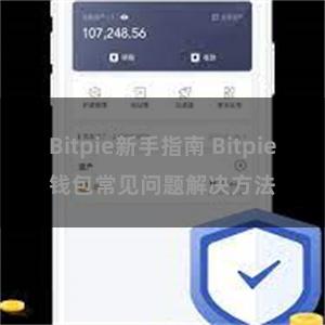 Bitpie新手指南 Bitpie钱包常见问题解决方法