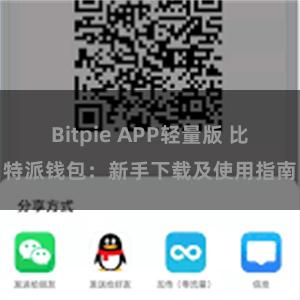 Bitpie APP轻量版 比特派钱包：新手下载及使用指南