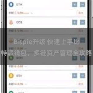 Bitpie升级 快速上手比特派钱包，多链资产管理全攻略