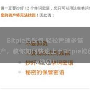 Bitpie热钱包 轻松管理多链资产，教你如何快速上手Bitpie钱包！