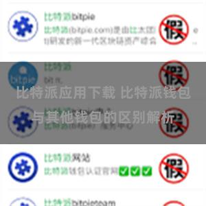 比特派应用下载 比特派钱包与其他钱包的区别解析