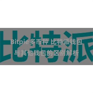 Bitpie多币种 比特派钱包与其他钱包的区别解析