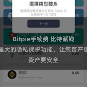 Bitpie手续费 比特派钱包：强大的隐私保护功能，让您资产更安全