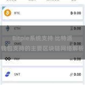 Bitpie系统支持 比特派钱包支持的主要区块链网络解析