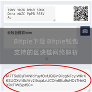 Bitpie下载 Bitpie钱包支持的区块链网络解析