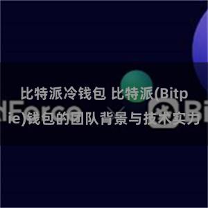 比特派冷钱包 比特派(Bitpie)钱包的团队背景与技术实力