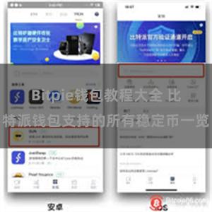 Bitpie钱包教程大全 比特派钱包支持的所有稳定币一览