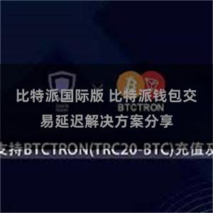 比特派国际版 比特派钱包交易延迟解决方案分享