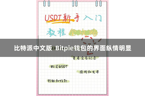 比特派中文版  Bitpie钱包的界面纵情明显