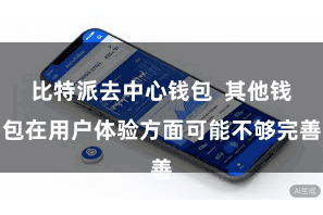比特派去中心钱包  其他钱包在用户体验方面可能不够完善