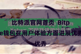 比特派官网首页  Bitpie钱包在用户体验方面进展优秀