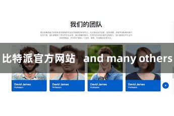 比特派官方网站   and many others