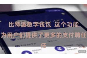 比特派数字钱包  这个功能为用户们提供了更多的支付聘任