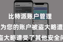 比特派账户管理  可能是因为您的账户被盗大略遭受了其他安全问题
